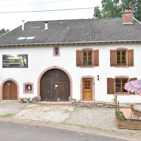 Serendipity For All Apartments Saint-Die-des-Vosges Exteriér fotografie