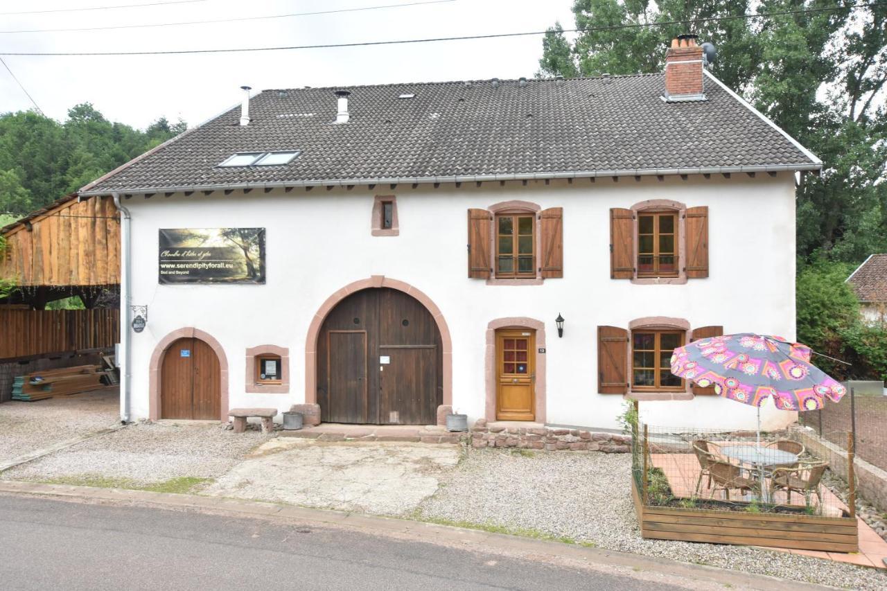 Serendipity For All Apartments Saint-Die-des-Vosges Exteriér fotografie